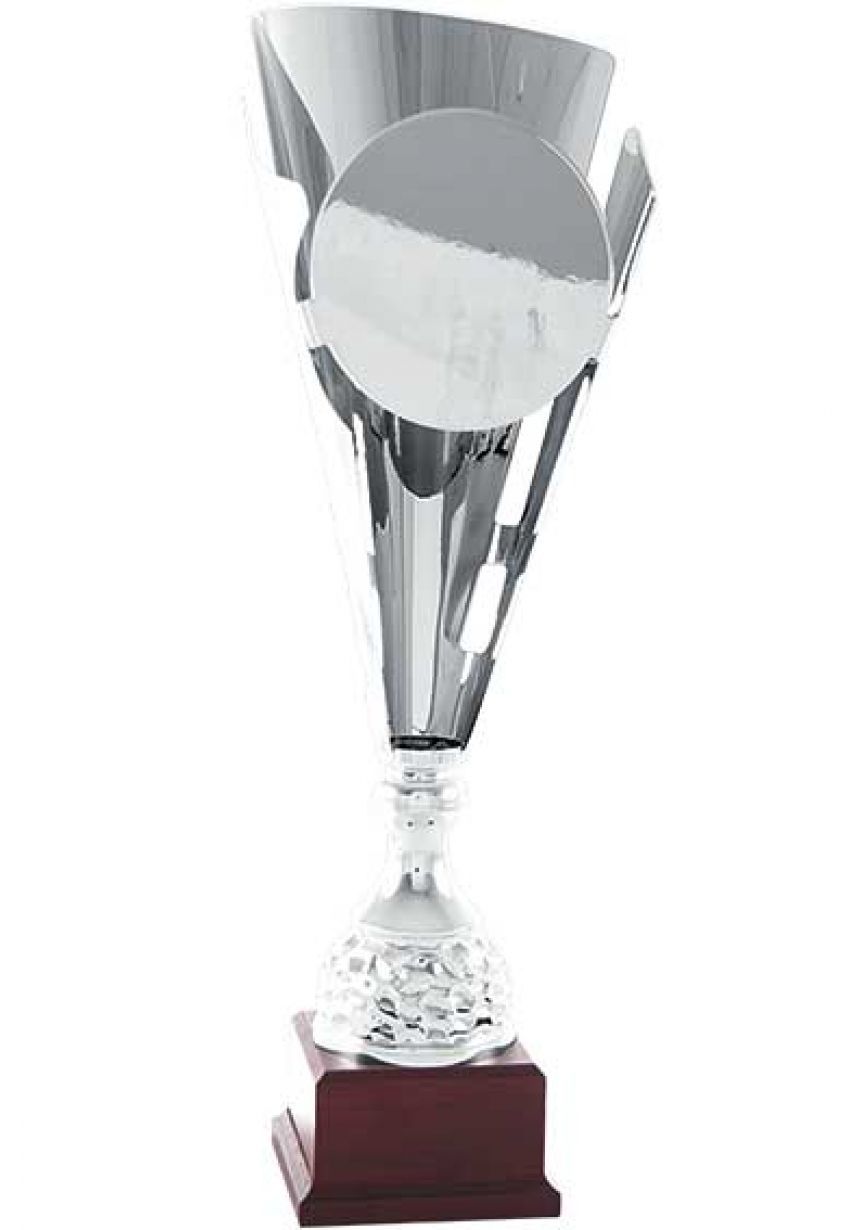 Trofeo copa plata corte cónico para añadir imágen