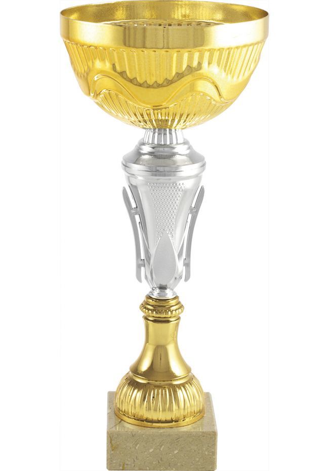 Trofeo copa dorada-plata asas