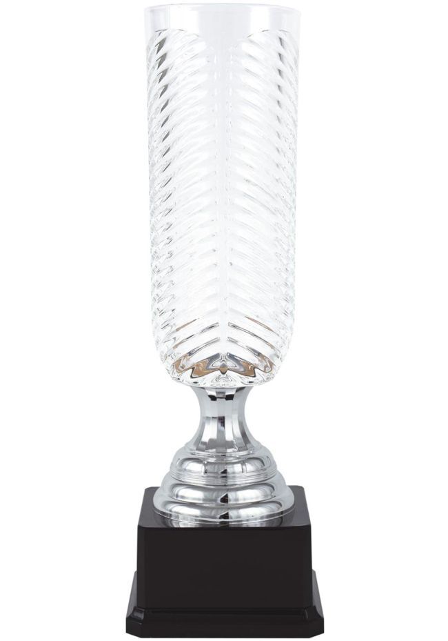 Trophy silver-gold vase