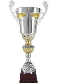 Coppa d'argento/bronzo