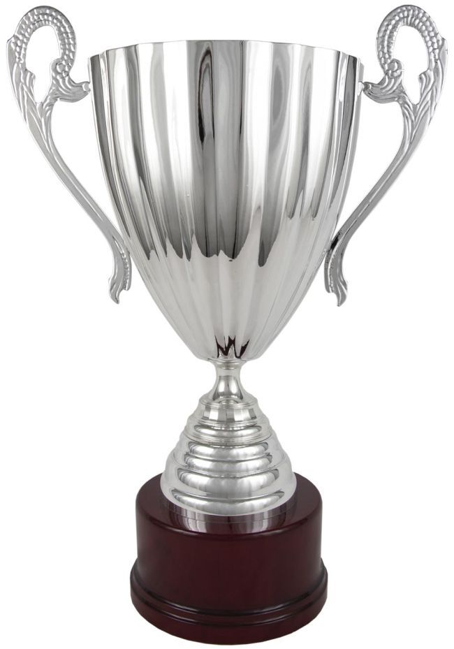Trofeo copa Castillo