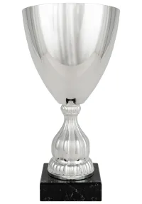 Cup silver chalice crossed lines