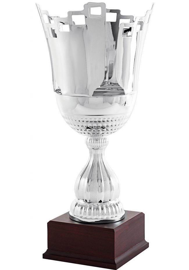 Trofeo copa Castillo