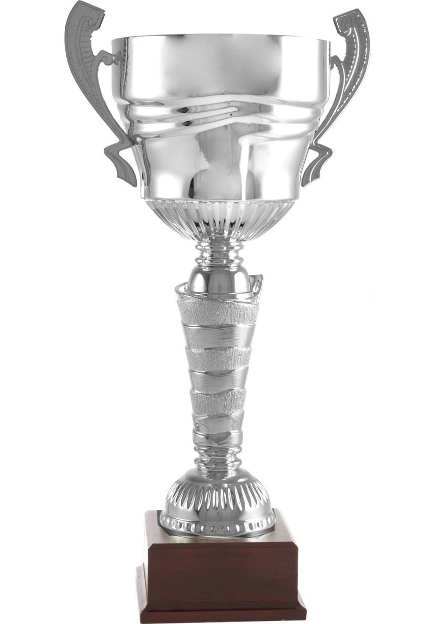Trofeo copa labrada plata asas