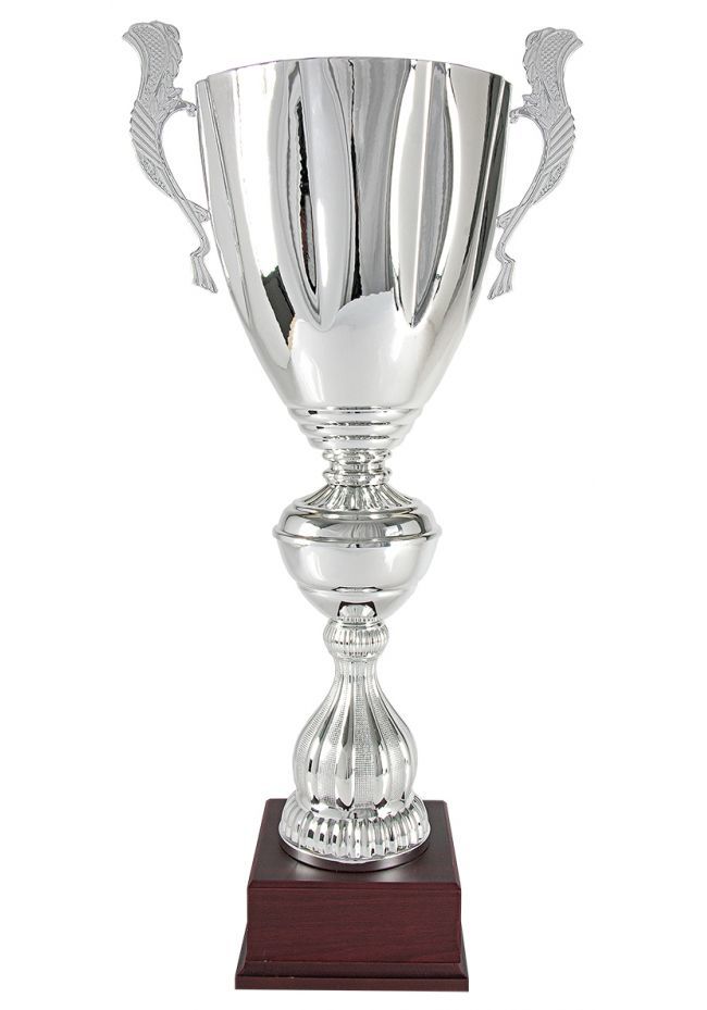 Trofeo copa labrada plata asas