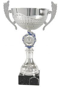 Trofeo copa sacalili plata-azul
