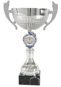 Trofeo copa sacalili plata-azul Thumb