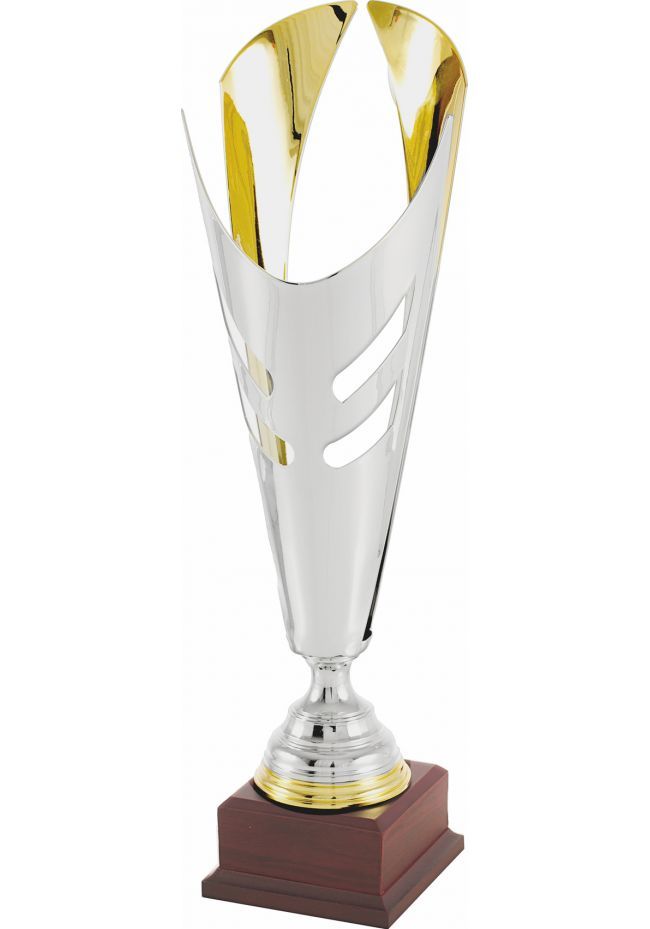 Trofeo copa bicolor