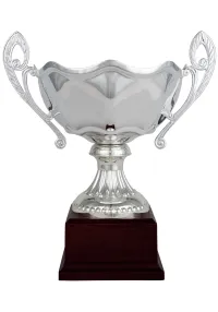 Waves silver cup with handles