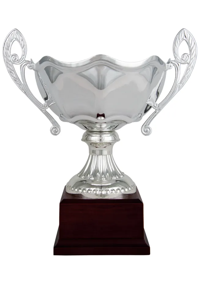 Vagues coupe d'argent avec des poignées