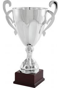 Trofeo copa cono raya plata con asas
