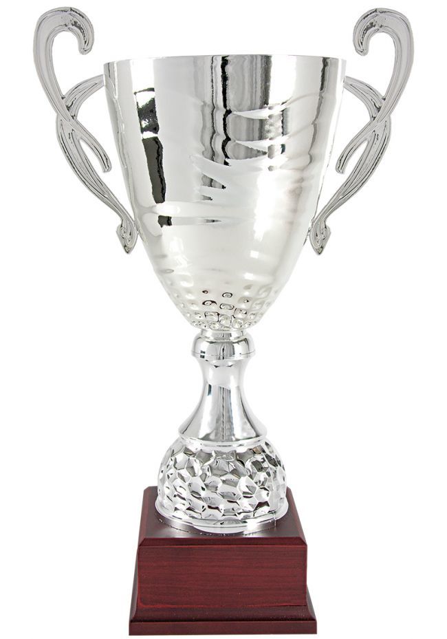 Trofeo copa cono raya plata con asas