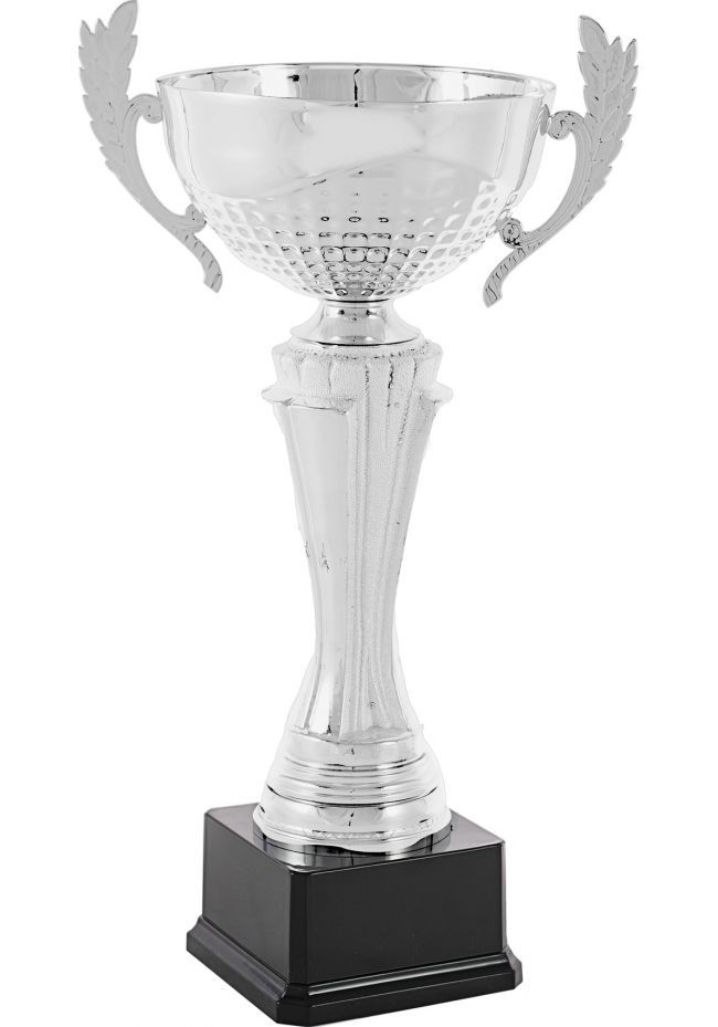 Trofeo copa cáliz plata con asas