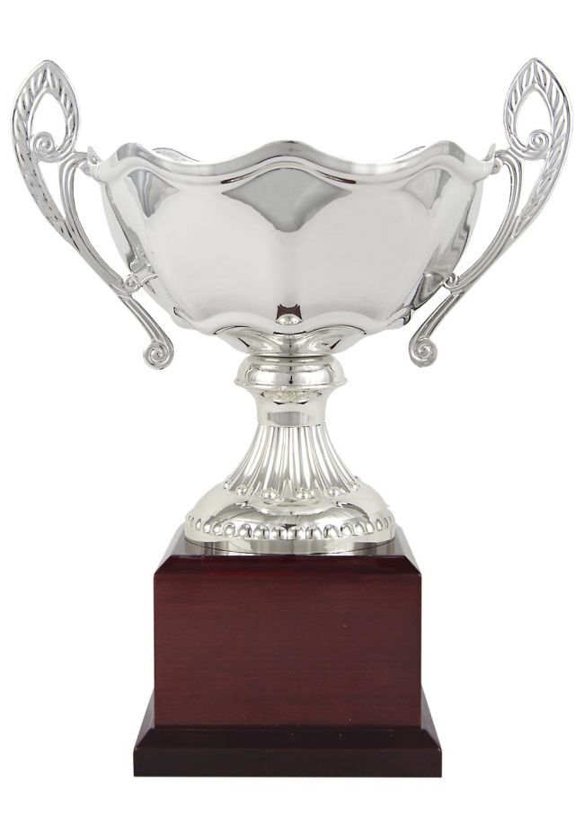 Classic silver cup with handles