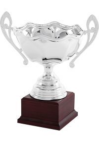 Classic silver cup with handles