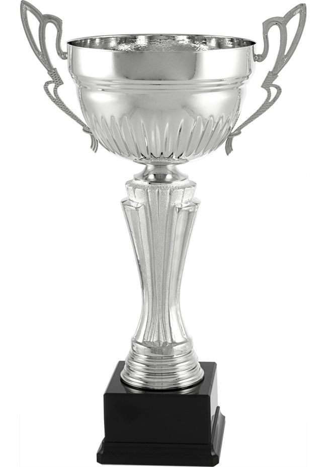Trofeo copa plata con asas finas