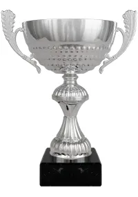 Smooth cup with handles