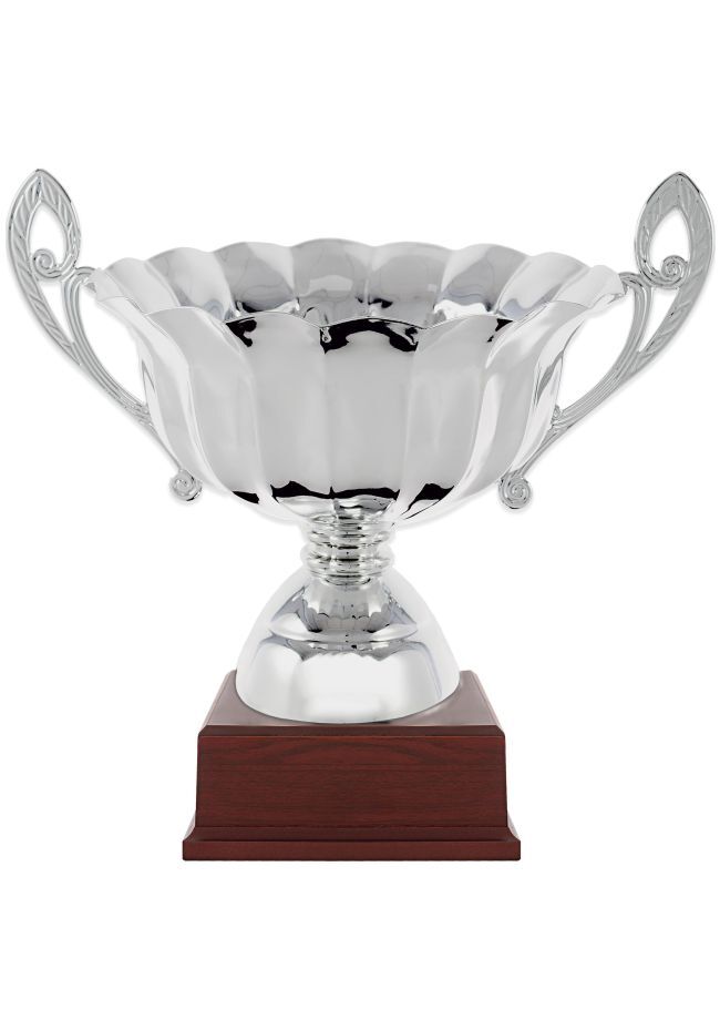 Silver cup mini bowl