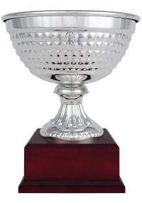 Trofeo copa ensaladera plata