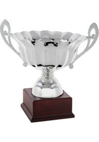 Silver cup mini bowl