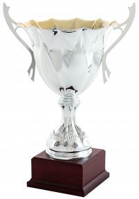 Trofeo copa cincelado