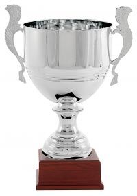 Trofeo copa vaso rayas plata