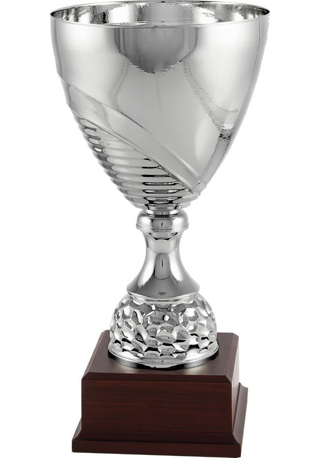 Trofeo copa aro plata