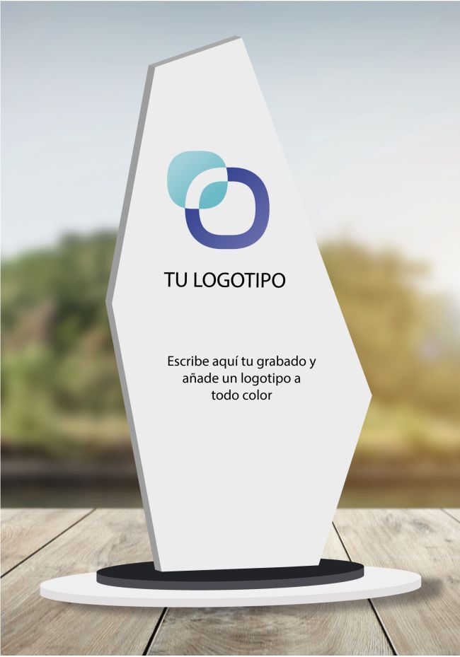 Trofeo de metacrilato especial logotipos Trofeo de metacrilato especial logotipos