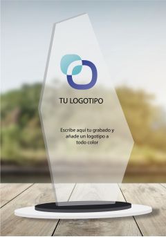 Trofeo de metacrilato especial logotipos Thumb Trofeo de metacrilato especial logotipos Thumb