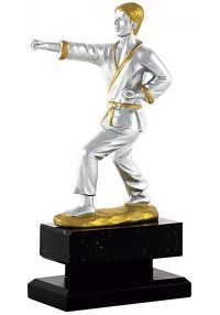 Trofeo jugador karate