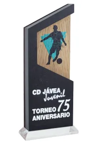 Trofeo de piedra y madera