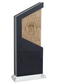 Trofeo de piedra y madera
