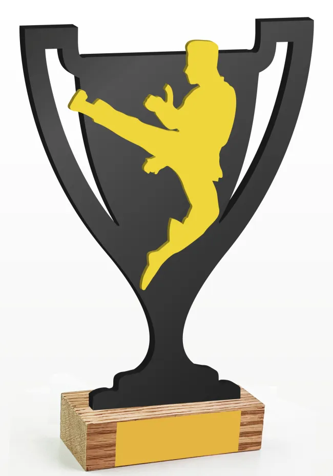 Trofeo copa de artes marciales