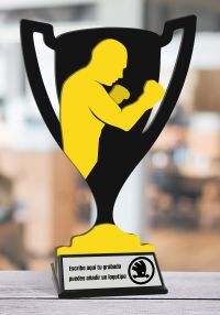 trofeo della coppa di boxe