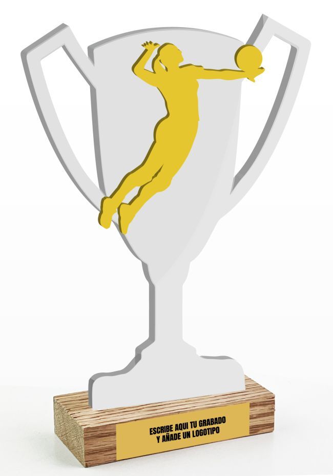 trophée de la coupe de volley-ball