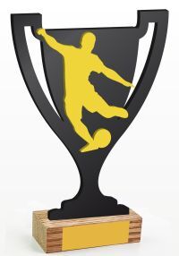 soccer cup trophy