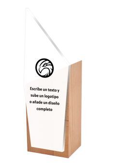 Premio deportivo de madera Thumb