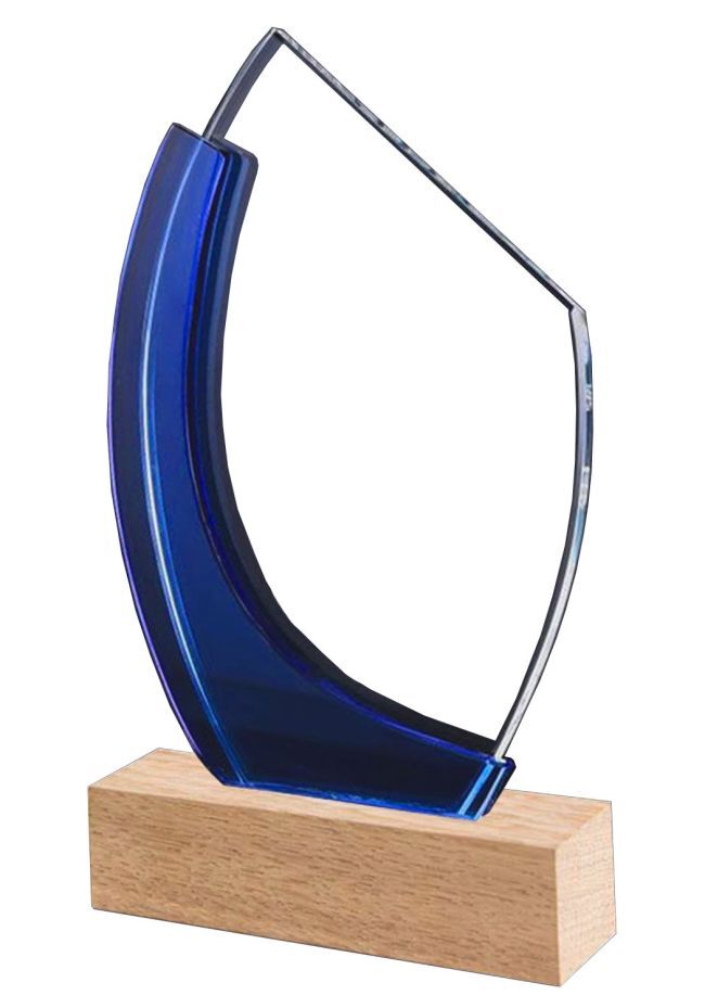 Two-tone wood and acrylic trophy