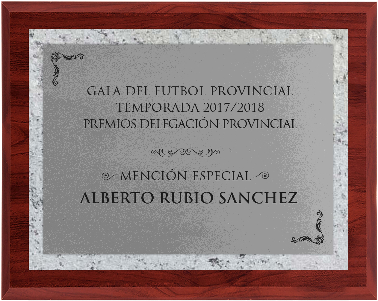 Targa Commemorativa Personalizzata Per Animali | Ardesia 20x30 Cm Con Foto E Nome - Resistente Alle Intemperie - Foto 6