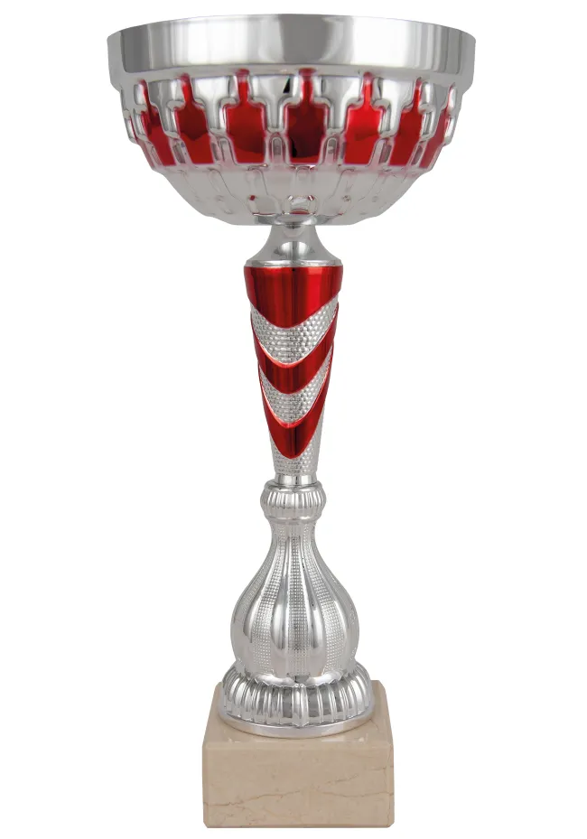 Trofeo Coppa del Pallone di Natale