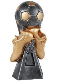Champion resin football trophy