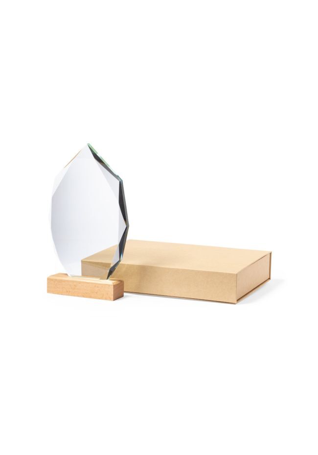 Trofeo in vetro e legno sulla base
