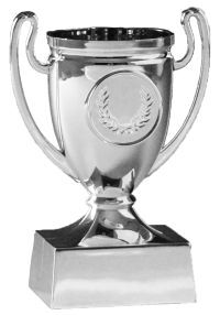 Mini silver children's participation cup