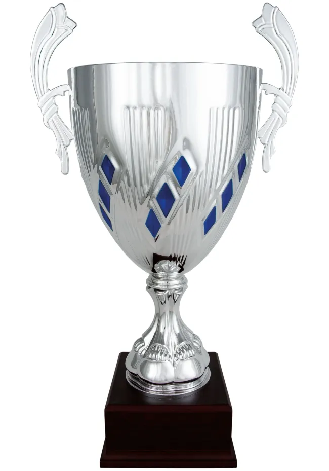 Coupe d'argent avec des poignées