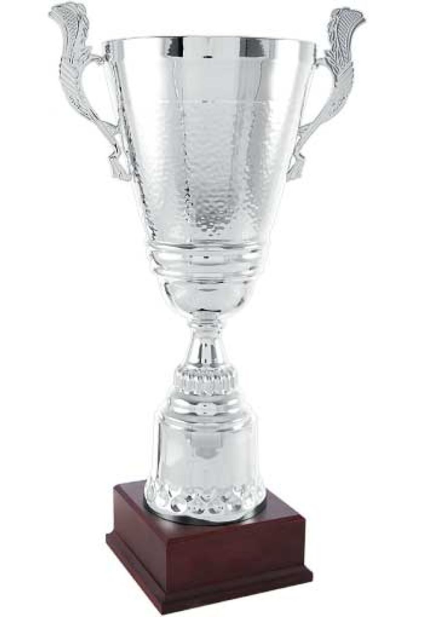 Trofeo copa plata con asas