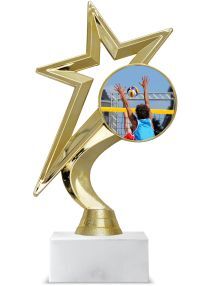 Volleyball star trophy