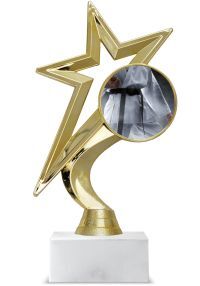 Karate star trophy