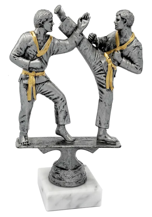 Karate-Trophäe aus Kunstharz