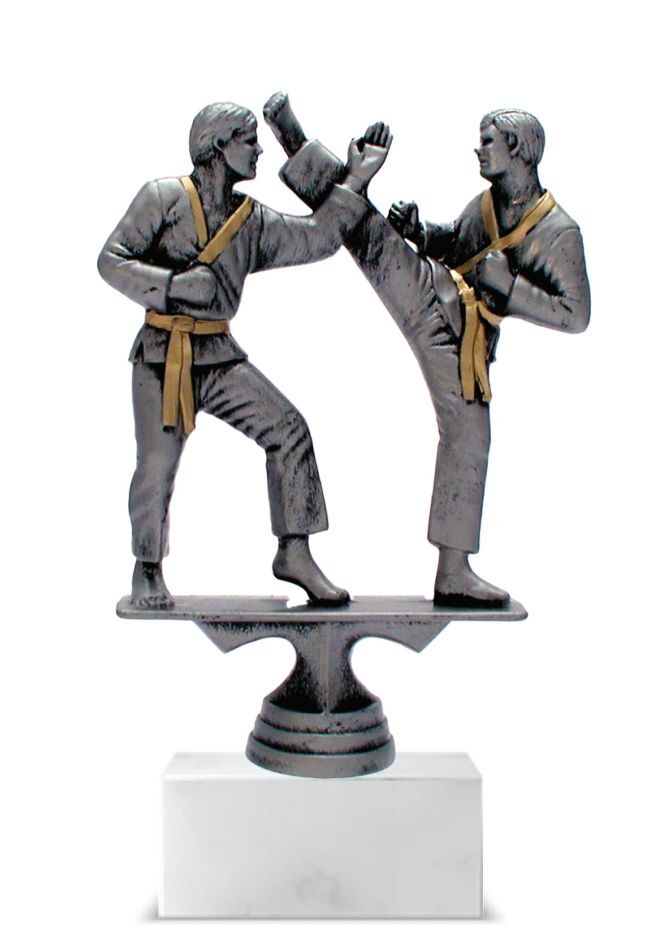 Resin karate trophy