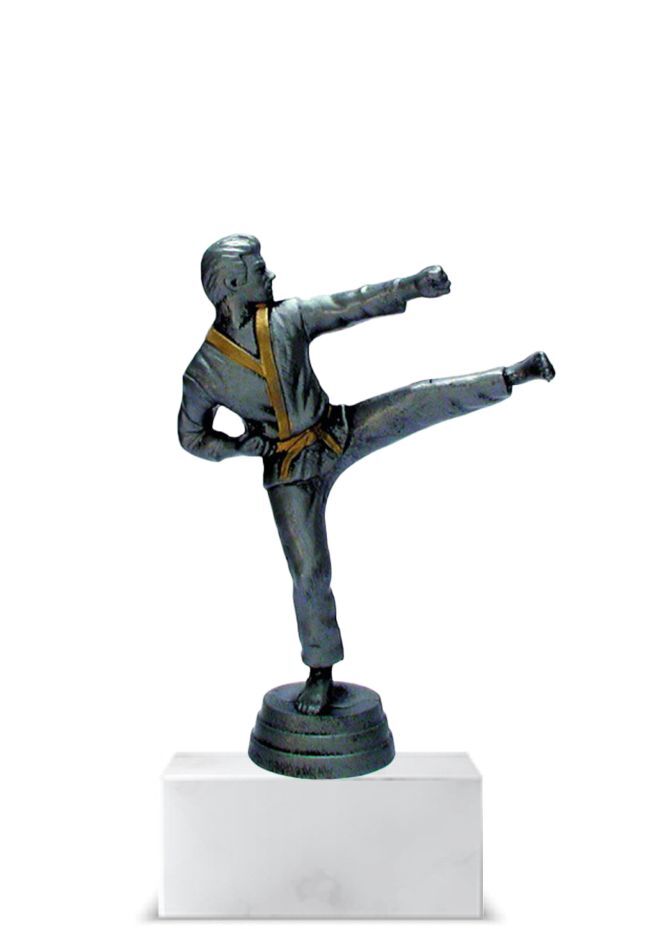 Resin karateka trophy